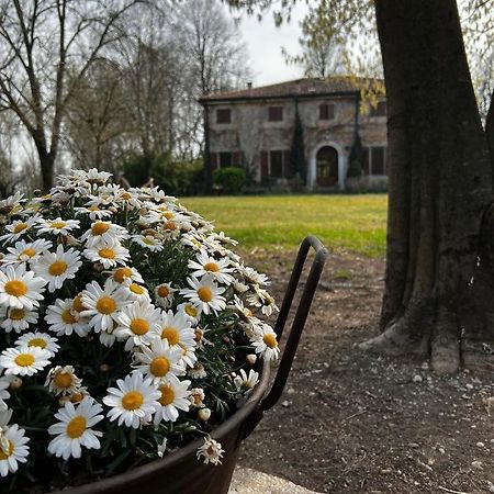 Agriturismo Corte San Girolamo Мантуя Екстер'єр фото