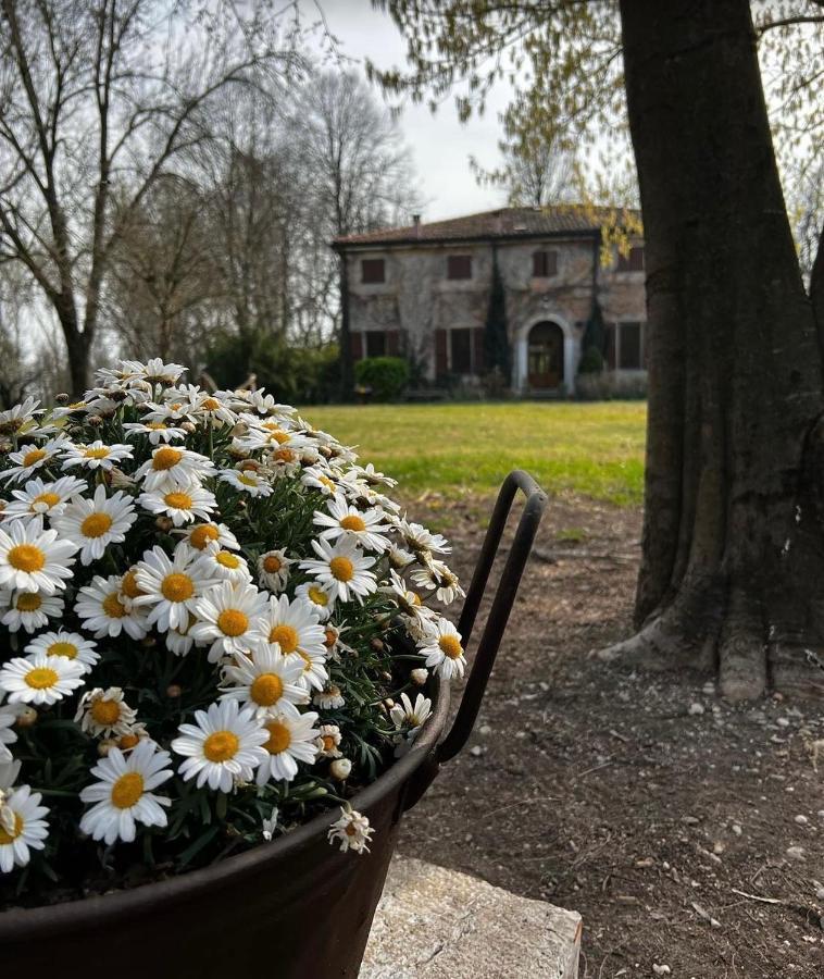 Agriturismo Corte San Girolamo Мантуя Екстер'єр фото