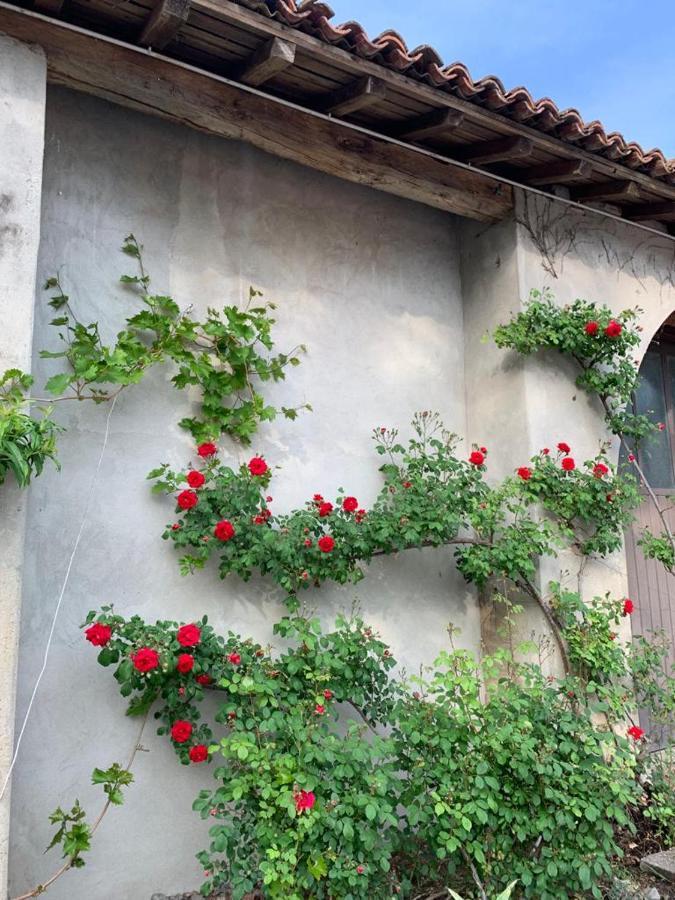 Agriturismo Corte San Girolamo Мантуя Екстер'єр фото