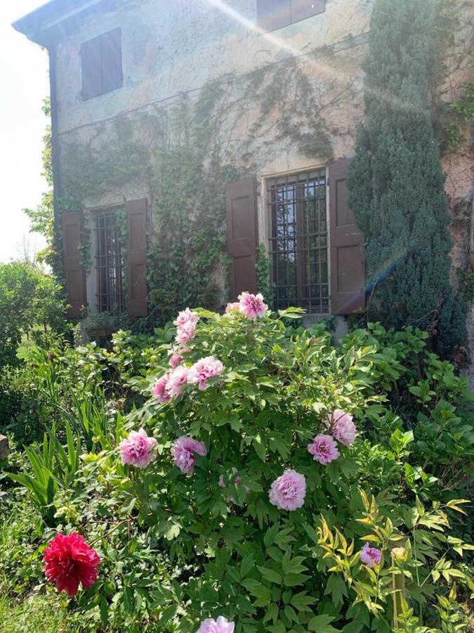 Agriturismo Corte San Girolamo Мантуя Екстер'єр фото