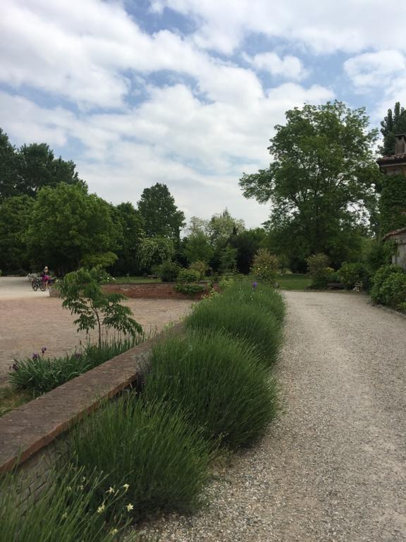 Agriturismo Corte San Girolamo Мантуя Екстер'єр фото