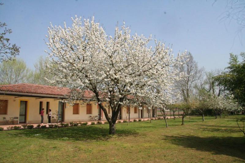 Agriturismo Corte San Girolamo Мантуя Екстер'єр фото